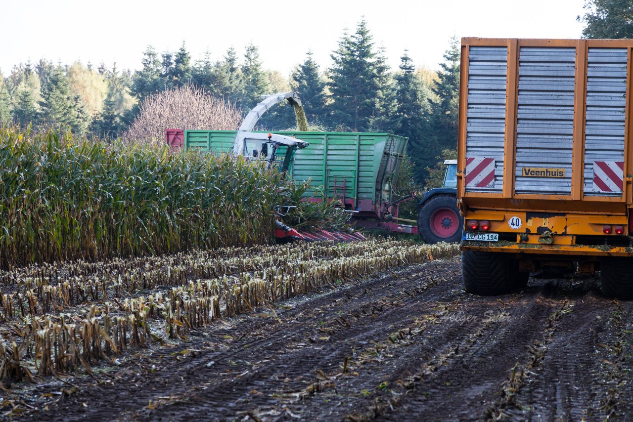 Bild 43 - Maisernte am 11.10.12